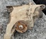 Land Rover AH22-4W063-BC, 3.54 / AH224W063BC, 354 DISCOVERY IV (L319) 2011 Rear axle differential - Thumbnail 1