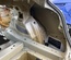 Tesla MODEL 3 2020 Body quarter Right Rear - Thumbnail 3