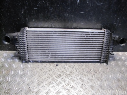 Mercedes-Benz A251 500 00 00 / A2515000000 R-CLASS (W251, V251) 2006 Intercooler