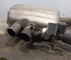 BMW 7842622 7 (F01, F02, F03, F04) 2010 End Silencer - Thumbnail 3