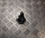 Lexus 195058 UX (ZA10) 2021 Switch for electric-mechanical parking brakes -epb- - Thumbnail 1