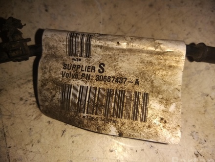 Volvo 30667437 V50 (MW) 2005 Harness