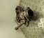 Toyota BA-BTV / BABTV COROLLA (E210) Estate 2020 Catalytic Converter - Thumbnail 2