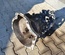 Iveco 8873677, 8873698, 8873804 DAILY VI Box 2021 Manual Transmission - Thumbnail 1