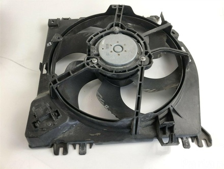 Renault 8200748439 CLIO III (BR0/1, CR0/1) 2011 Radiator Fan