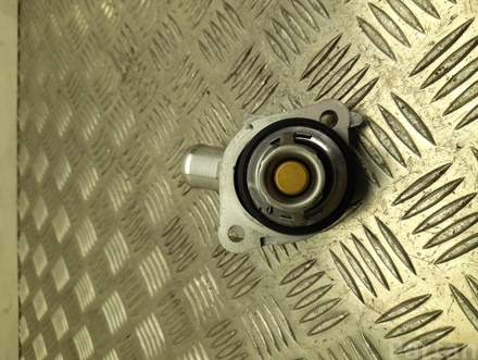 Nissan DENI31 JUKE (F16) 2022 Thermostat