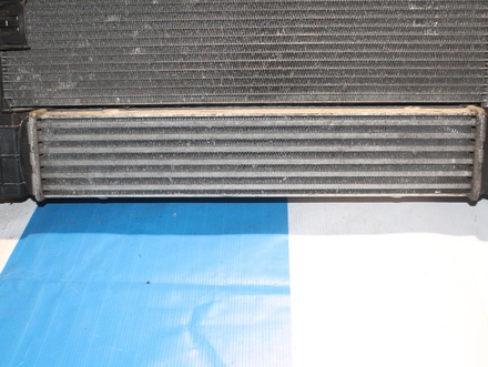 BMW 3213311 3 (E90) 2011 Radiator